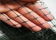 Heavy Duty Black Anti Bird Net For Trees Repel Pigeon Attacks Available