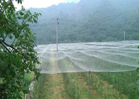 Reusable Knot Plastic Anti Bird Net With Strong Tear Resistant Protection