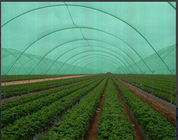 Dark Green Fruit And Seedbed Sun Shade Net High Tensile Strength Shading Rate 70%