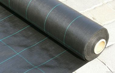 ประเทศจีน ผ้าคลุมสนามพลาสติกโพลีโพรพีลีนเนื้อผ้าการ์เด้น 100gsm ขนาด 4.2x100m โรงงาน